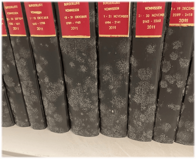 Juridische documenten aangetast door schimmel en vocht